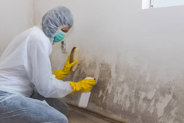 Water Damage Restoration in Batavia, IL