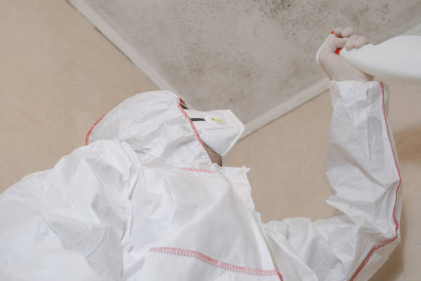 Best Mold Testing and Removal  in Batavia, IL